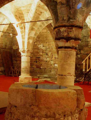 Accueil et visites guidées