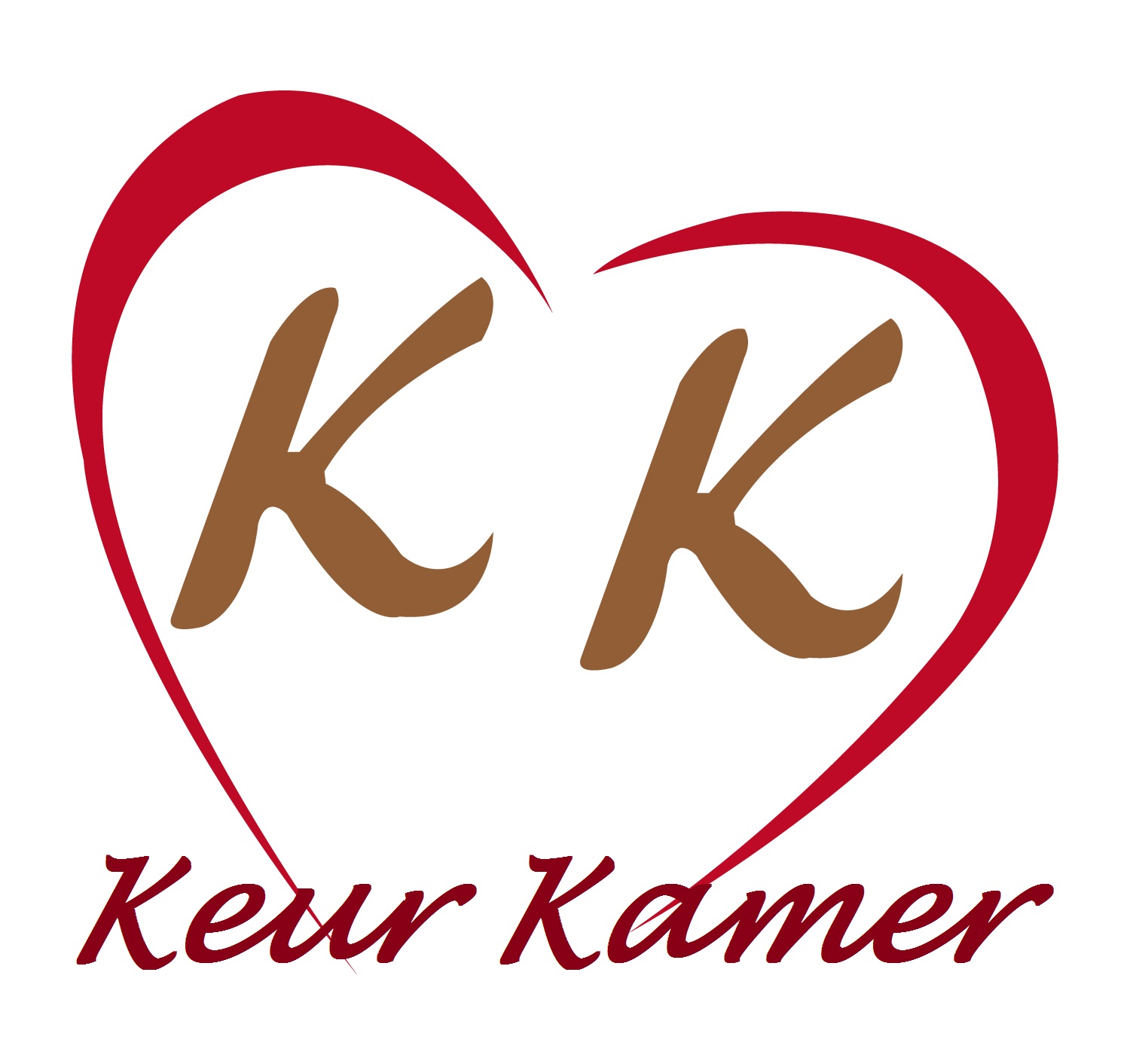 Technicien Informatique (Responsable des équipements)