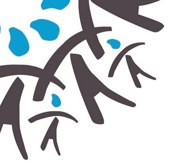 AIdez-nous à améliorer le webdesign de notre portail numérique solidaire !