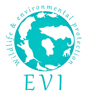 Conseils juridiques, association animaux et environnement