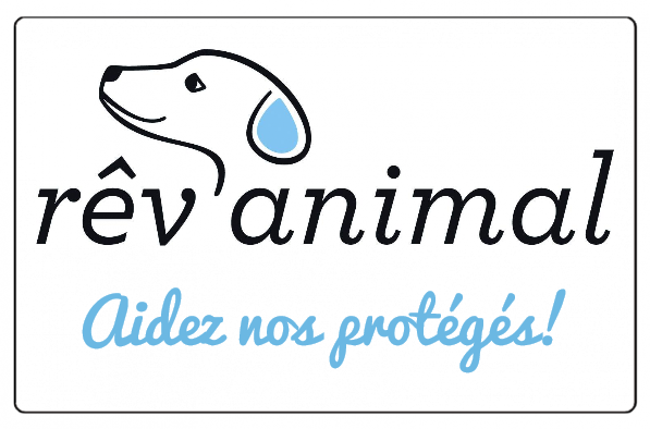Trésorier.e