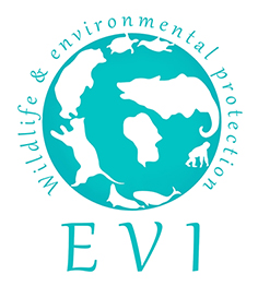 Rédaction spécialisée actualité - Animaux et environnement