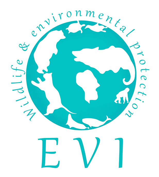 Création Campagnes de Sensibilisation - Animaux et Environnement