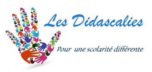 Encadrement d'un programme sportif sur l'année
