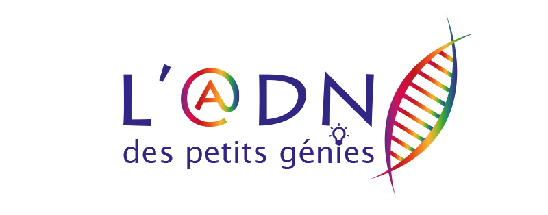 Animer un atelier dans les domaines de l’informatiques au sein de l'association