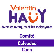 BENEVOLE (S) CHARGE (E) DE LA GESTION DES MANIFESTATIONS