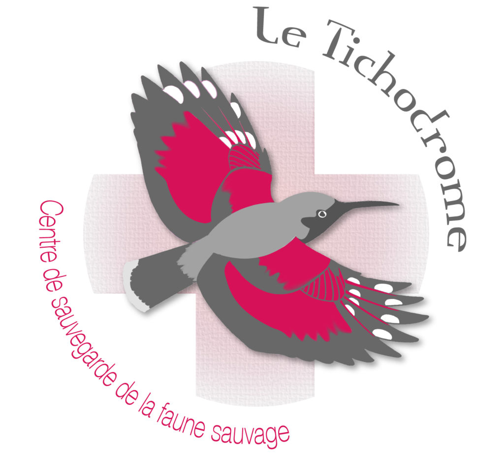 BENEVOLES POUR SOIN A LA FAUNE SAUVAGE