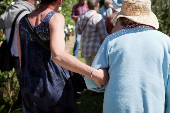 Accompagnement relationnel de personnes âgées par des visites #91619