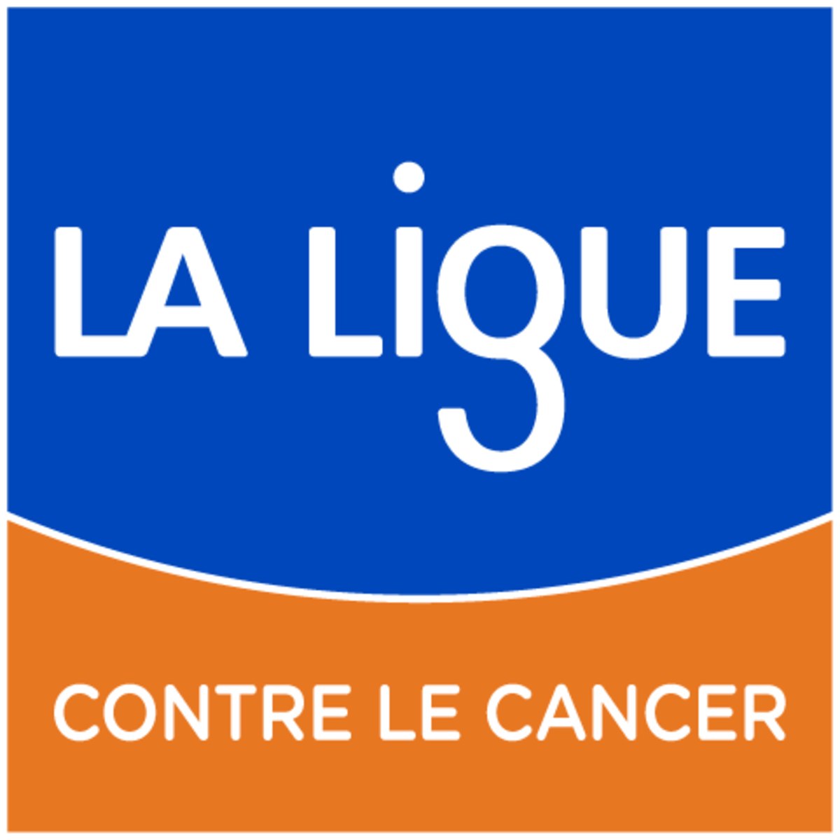Création d'objets (couture, tricot, crochets...) et vente au profit de la Ligue