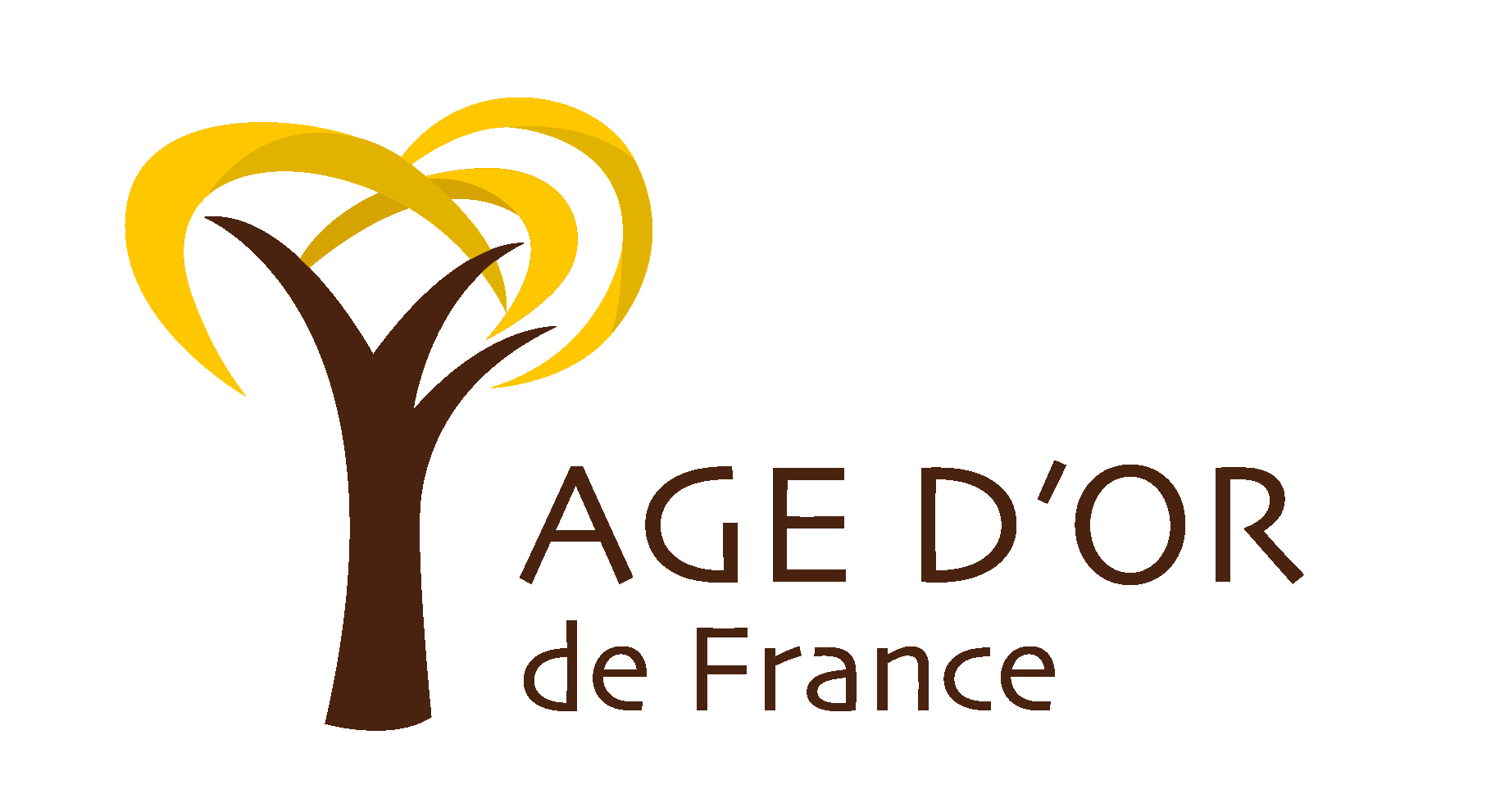 Trésorier/Trésorière adjoint(e)