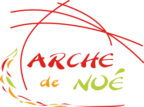 Accompagnement scolaire #108647