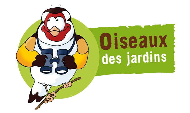 LPO : Observer et compter les oiseaux des jardins !