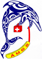 Dispositif Prévisionnel de Secours