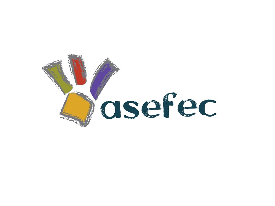 ASEFEC 2023-2024 : ADMINISTRATION et ENCADREMENT de la SECTION CULTURELLE - Enfants et Adultes