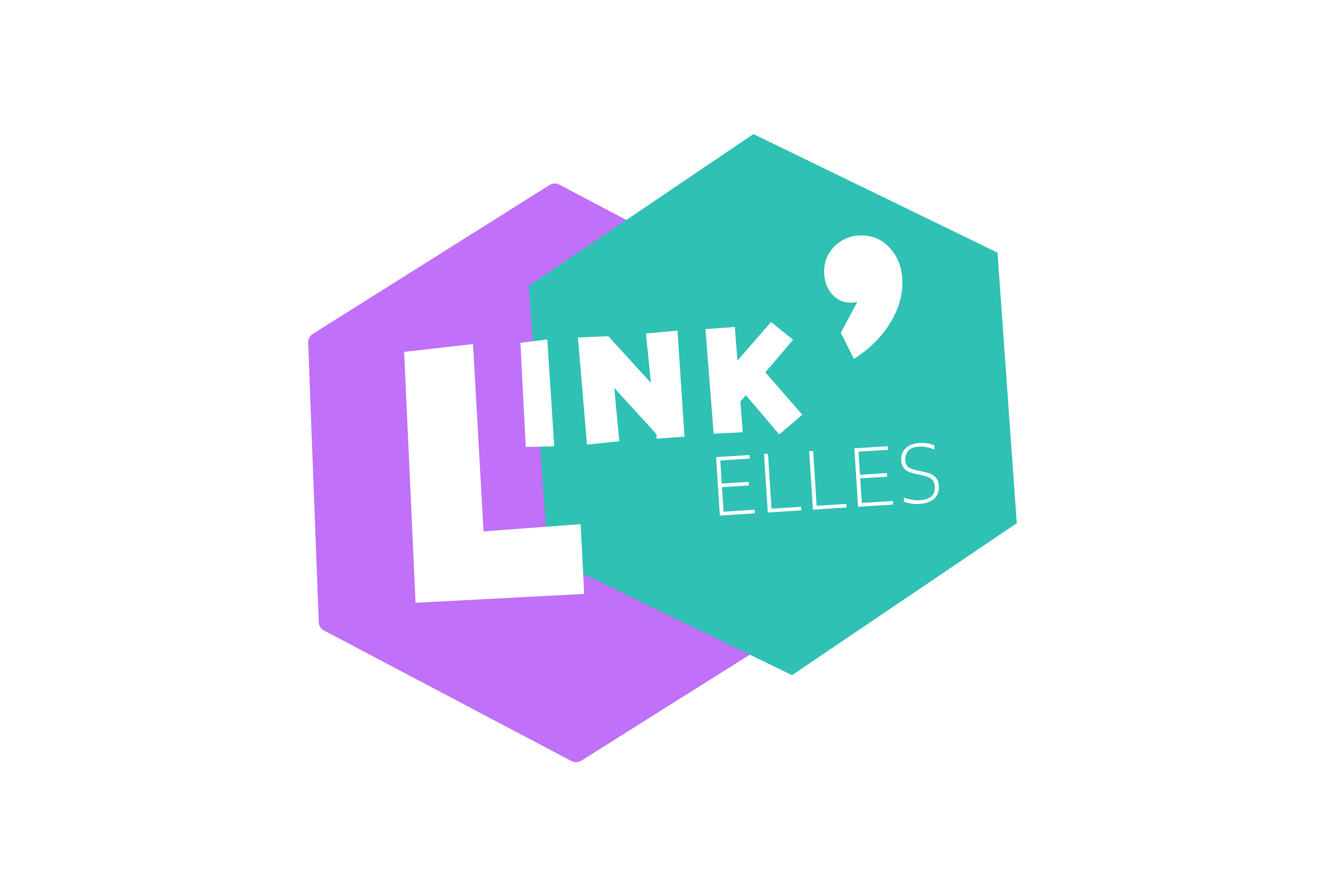 Link'Elles recherche son/sa bénévole community manager