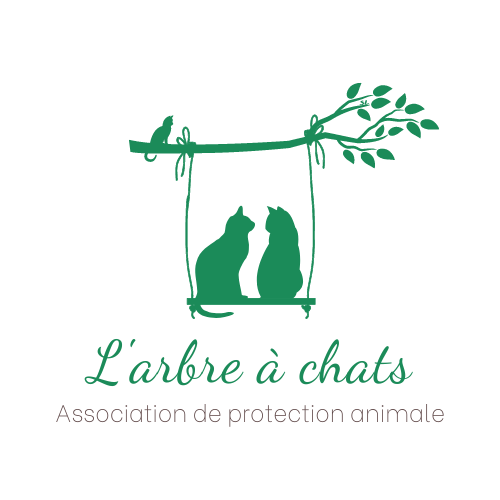 L'arbre à chats