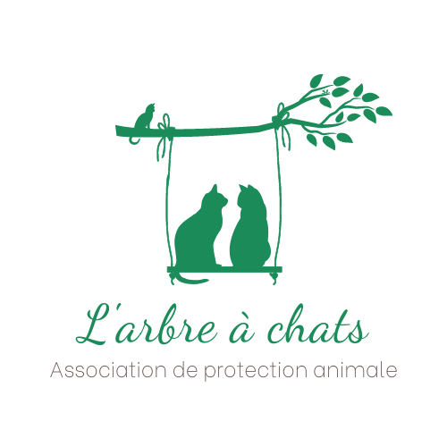 Famille d'accueil pour chats