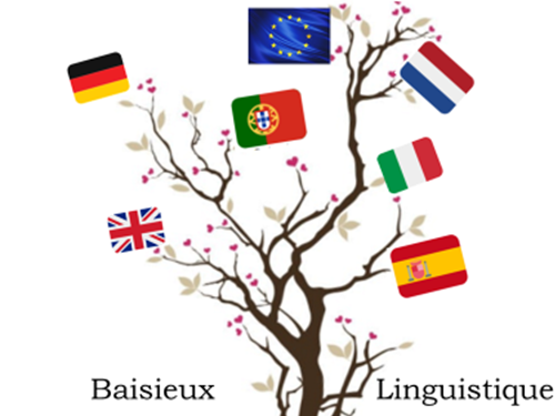 Baisieux Linguistique