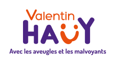 Chargé du Showroom matériel Adaptés aux personnes déficientes visuelles (conseil et vente)