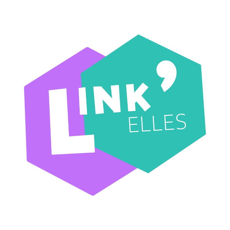 Link'Elles recherche son/sa bénévole designer/euse !