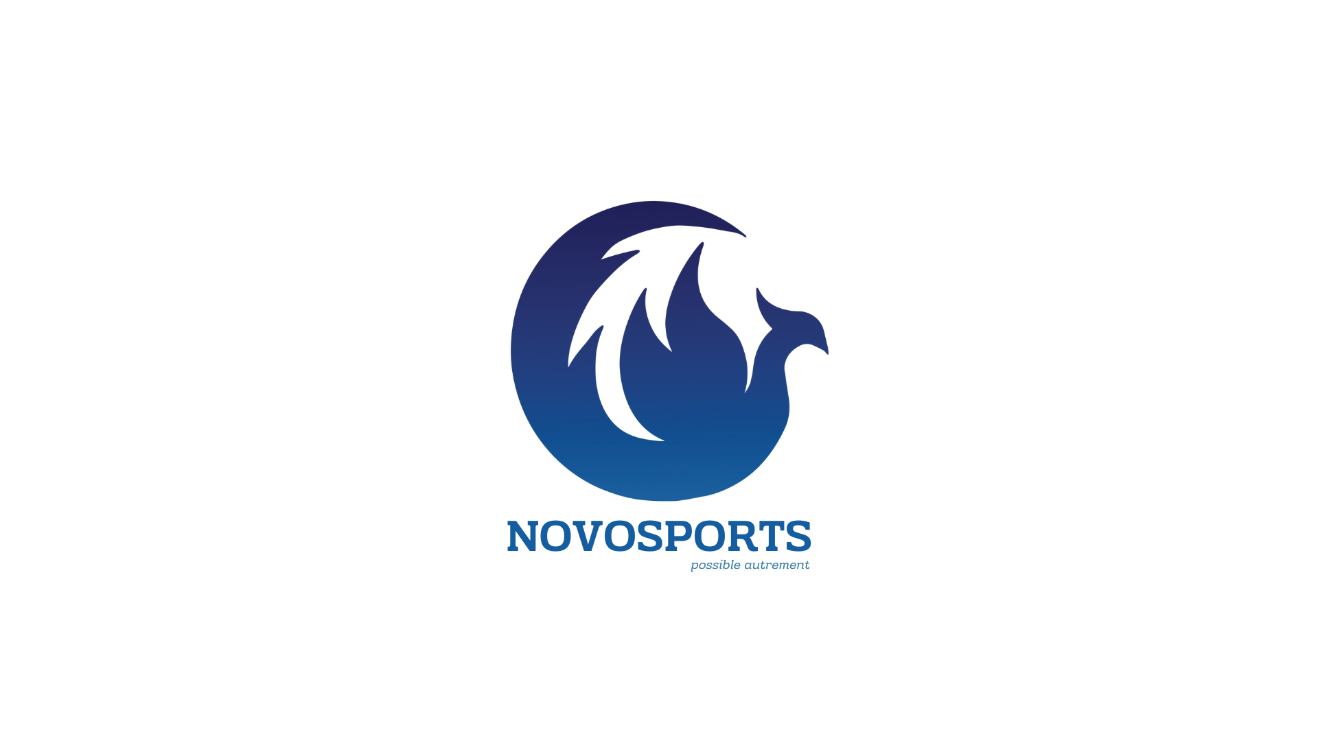 NOVOSPORTS : Recherche 1 Responsable du développement, personne expérimentée  (sportif-sportive ou cadre associatif, cadre d'entreprise),, pour accompagner la forte croissance attendue (Jeux Paralympiques source de fort croissance) 
https://novosports.fr/