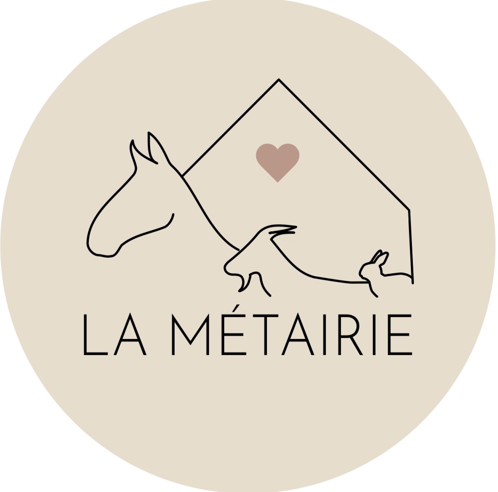 SAINTES : Aidez-nous à collecter des dons pour les animaux du refuge à TERRANIMO le 9 décembre.