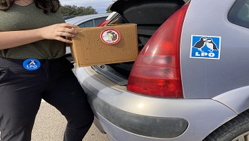 Devenez rapatrieur de Faune en détresse secteur Haute vallée de l'Aude