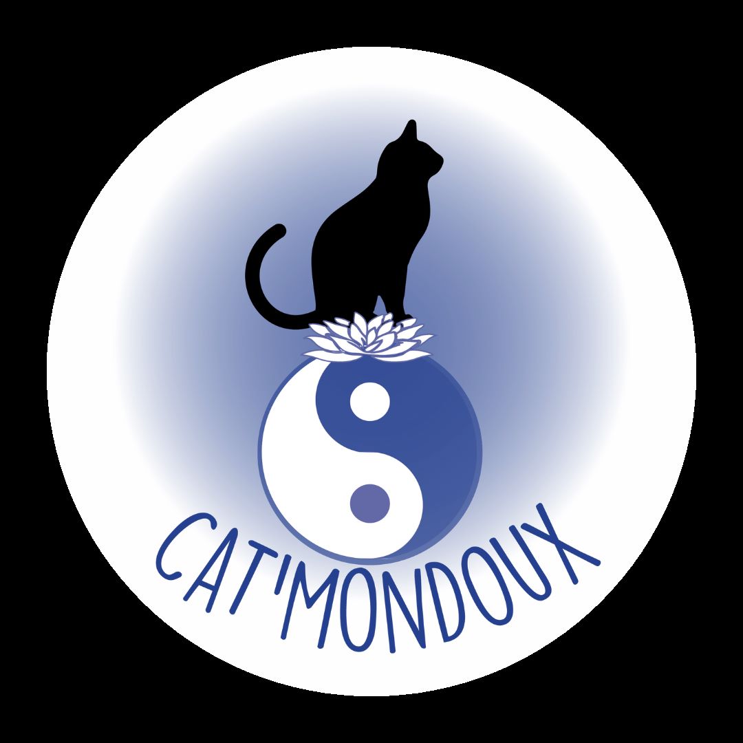 Bénévole dans une association de protection du chat errant