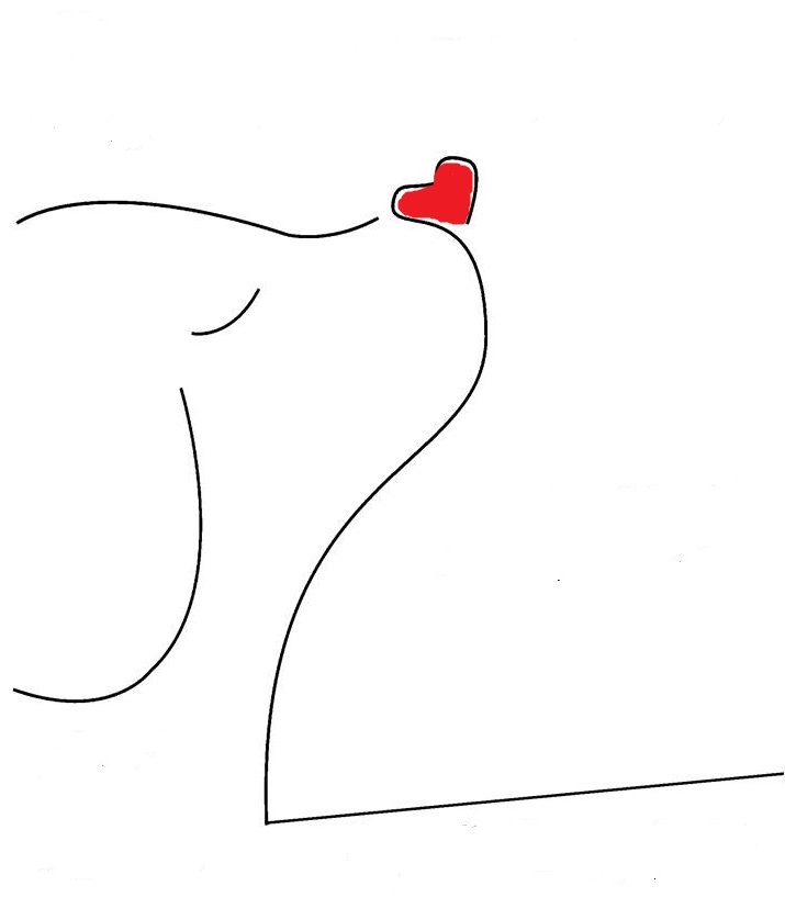 Action Marche Solidaire POUR LES CHIENS GUIDES -  RESPONSABLE  GESTION des RESEAUX SOCIAUX de l’association des Familles du 7è