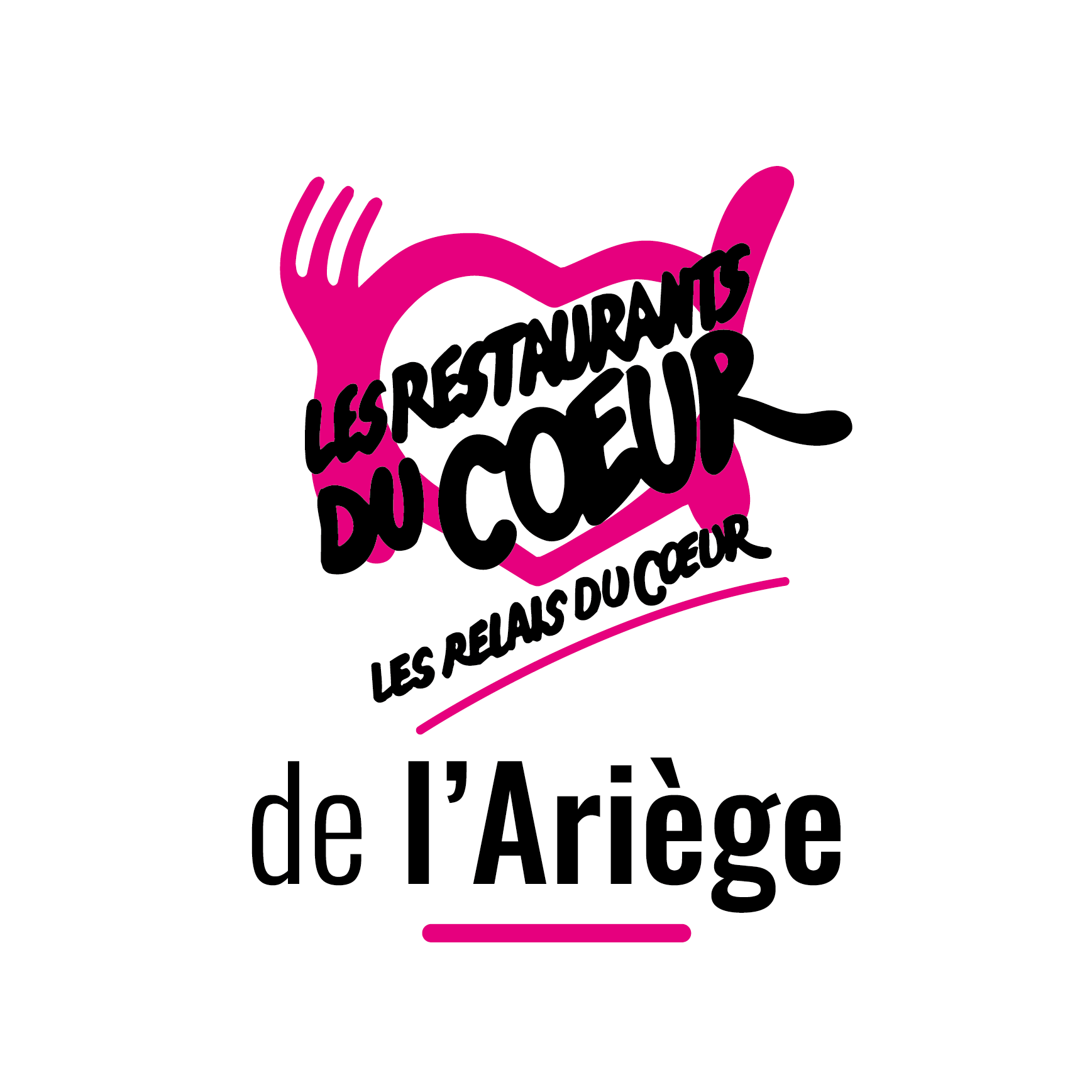 RESPONSABLE DEPARTEMENTAL ADJOINT (09)